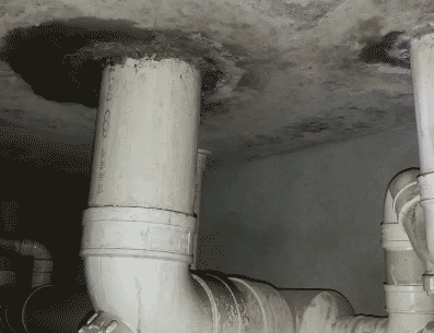 富拉尔基卫生间漏水维修公司为您专业分享下富拉尔基卫生间测漏水的信息